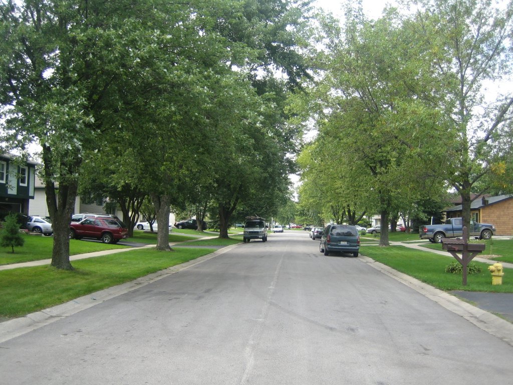 Tree-lined residential street in Bolingbrook, Illinois, with detached homes, sidewalks, and parked cars.